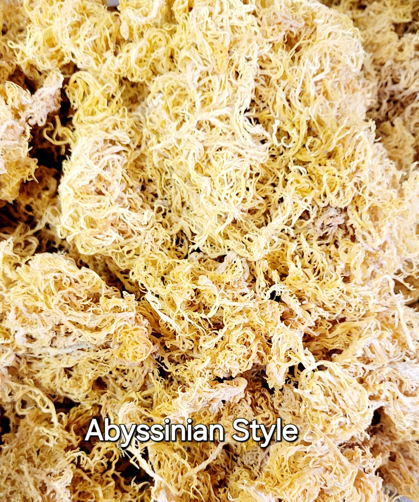 Sea Moss (Raw)